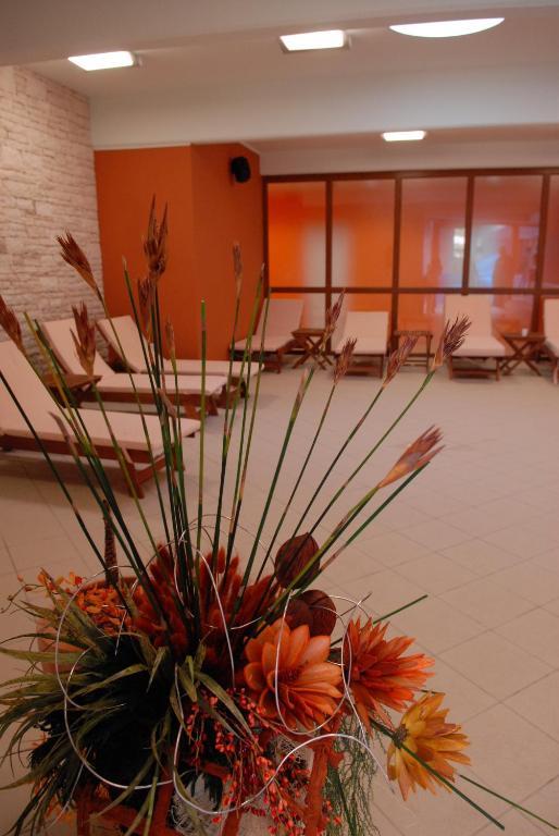 Istarske Toplice Health Spa Resort - Mirna Ливаде Экстерьер фото